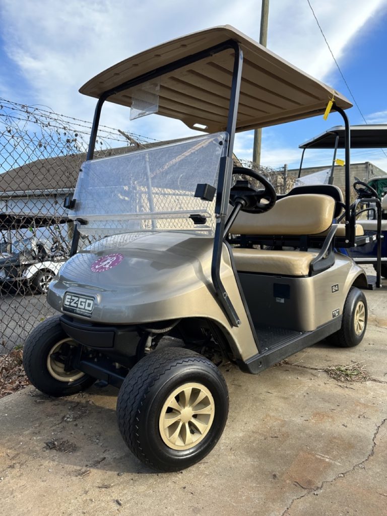 2021 EZGO Fuel Injected GAS Ex1 Golf Cart! Botero Carts